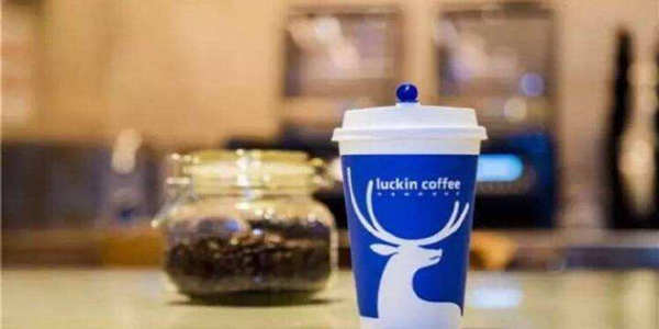 小鹿茶商标归属不明，却是已经被抢注