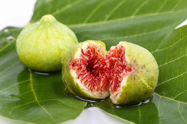 “新鲜无花果”获批国家地理标志证明商标