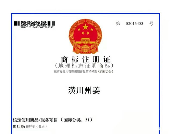 “潢川州姜”获批为中国地理标志证明商标