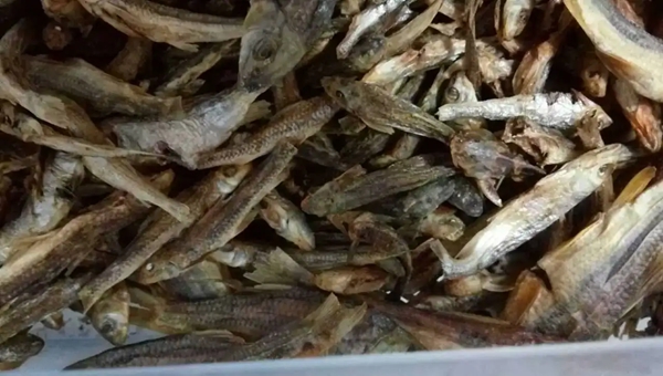 "武宁棍子鱼"成功注册地理标志证明商标