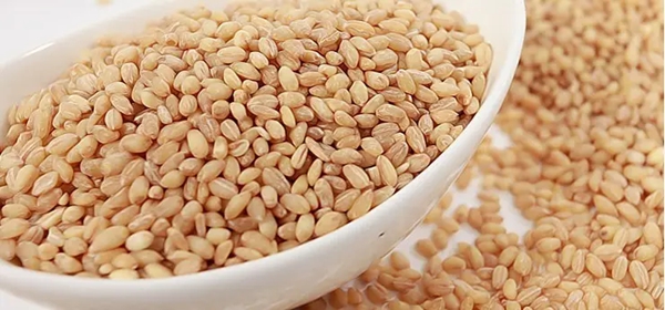 “大丰麦仁”喜获麦仁类全国首个国家地理标志证明商标